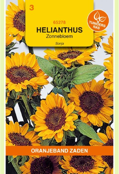 Sonnenblume Sonja (Helianthus) 40 Samen OBZ